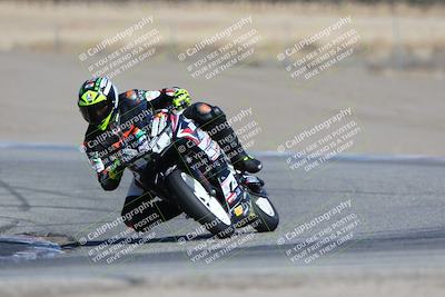 media/Oct-29-2023-Carters at The Track (Sun) [[b2bb4383ab]]/B Plus/120pm (Outside Grapevine)/